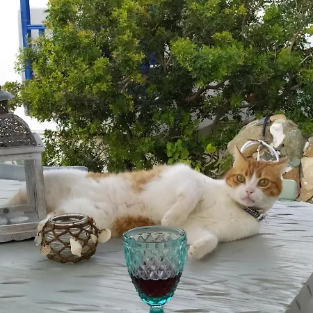 Vrahos - * Alopronia